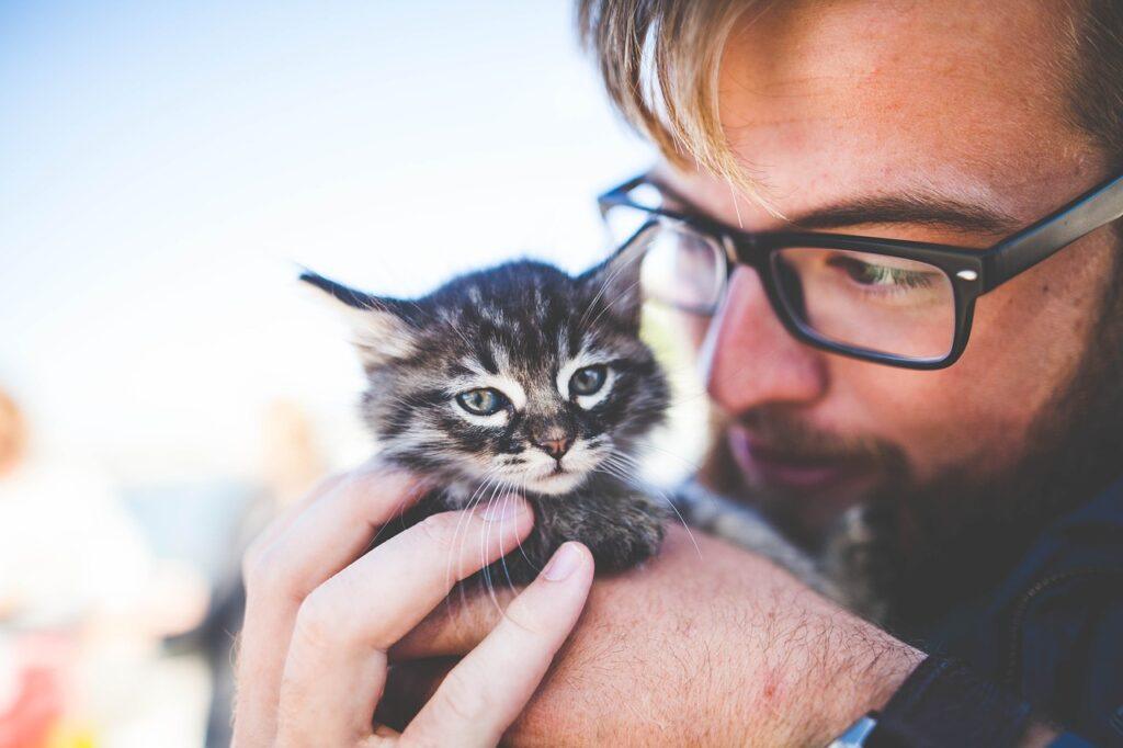 Cat cuddling in owner’s arms, showing companionship and comfort.